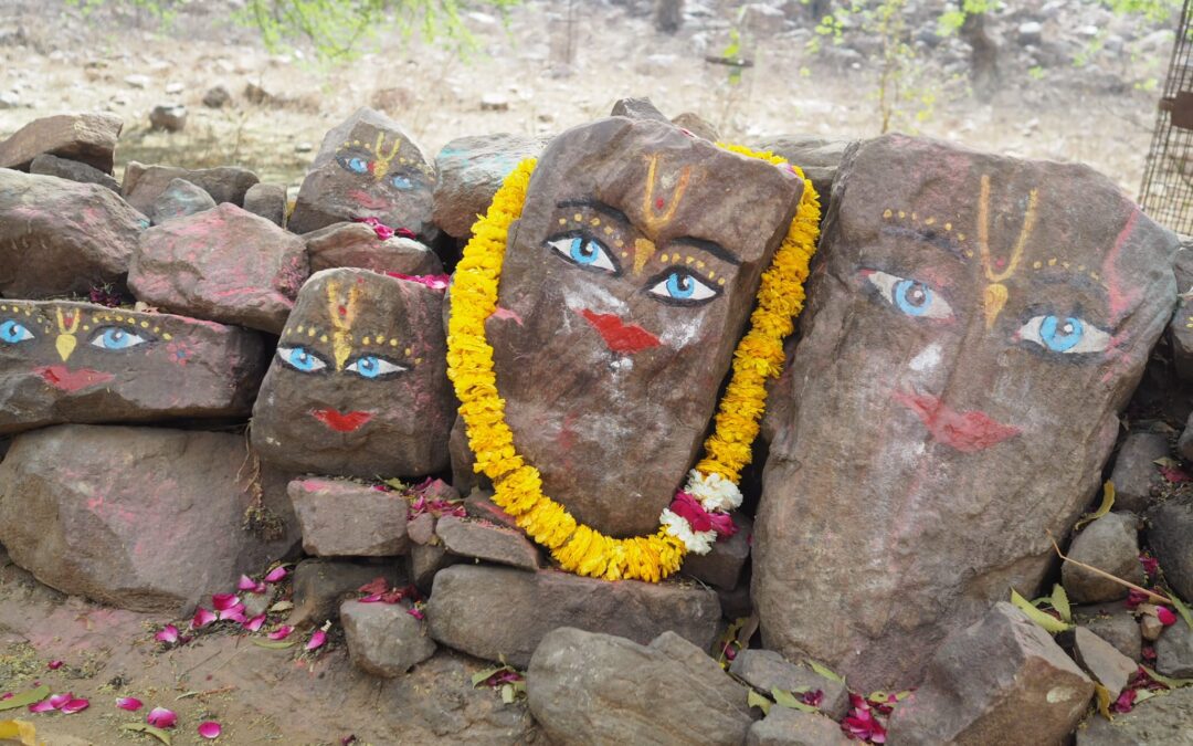 Tirobhava & Samadhi Festival – Meet Govardhana