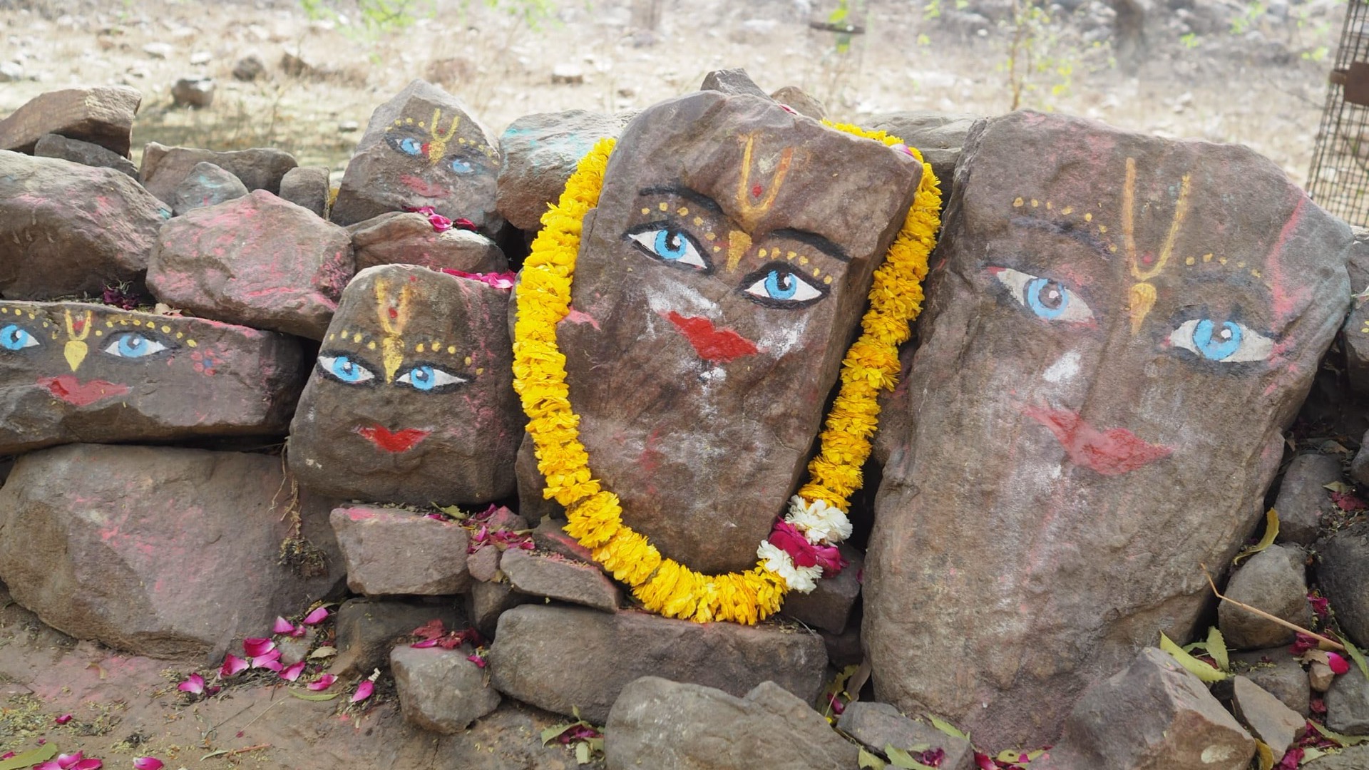 Tirobhava & Samadhi Festival – Meet Govardhana